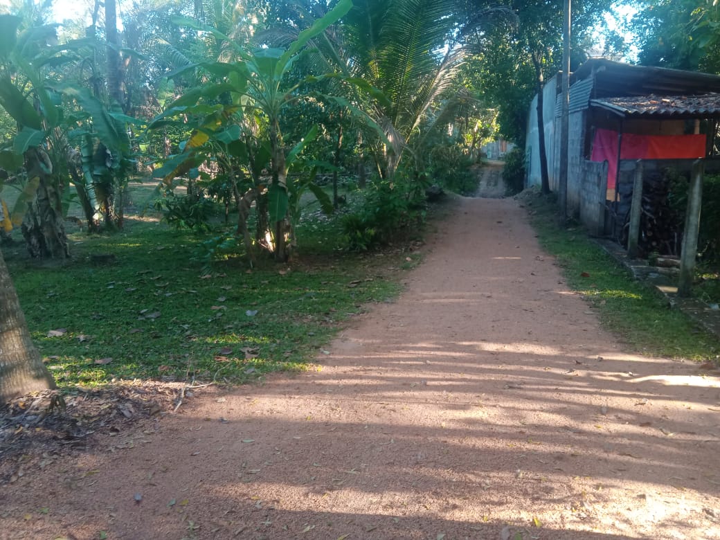 Residential Land for Sale in Mihintale