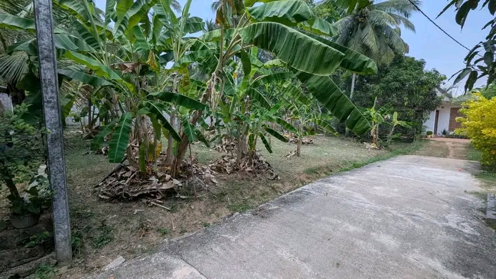 Commercial Land for Sale in Yakkala