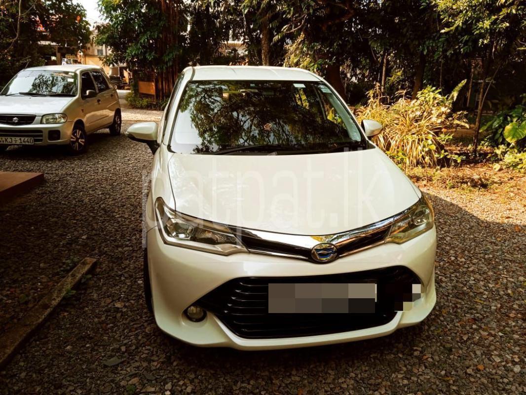 Advertisement image 2