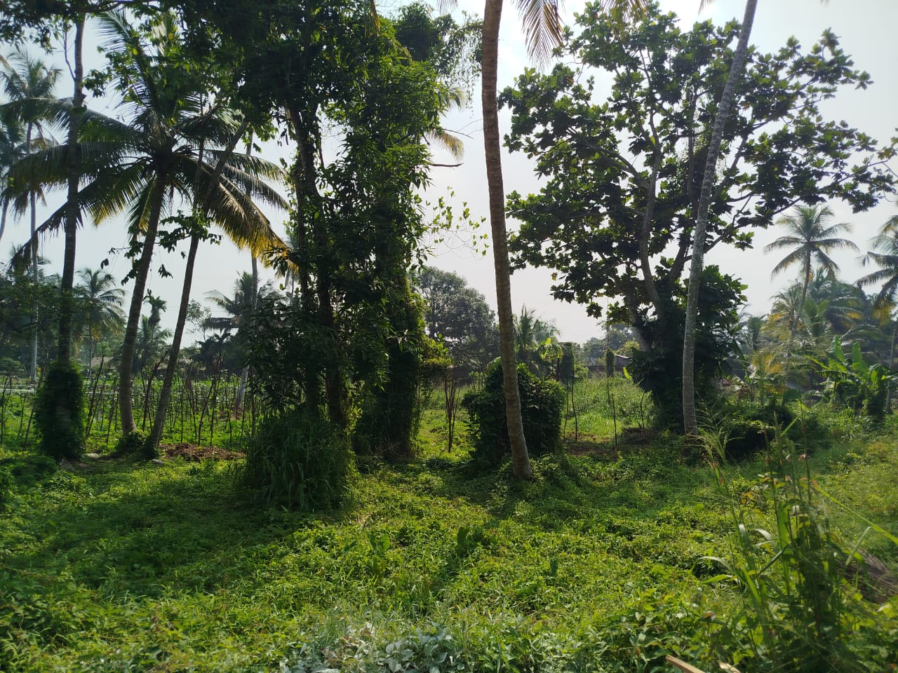Residential Land for Sale in Beruwala