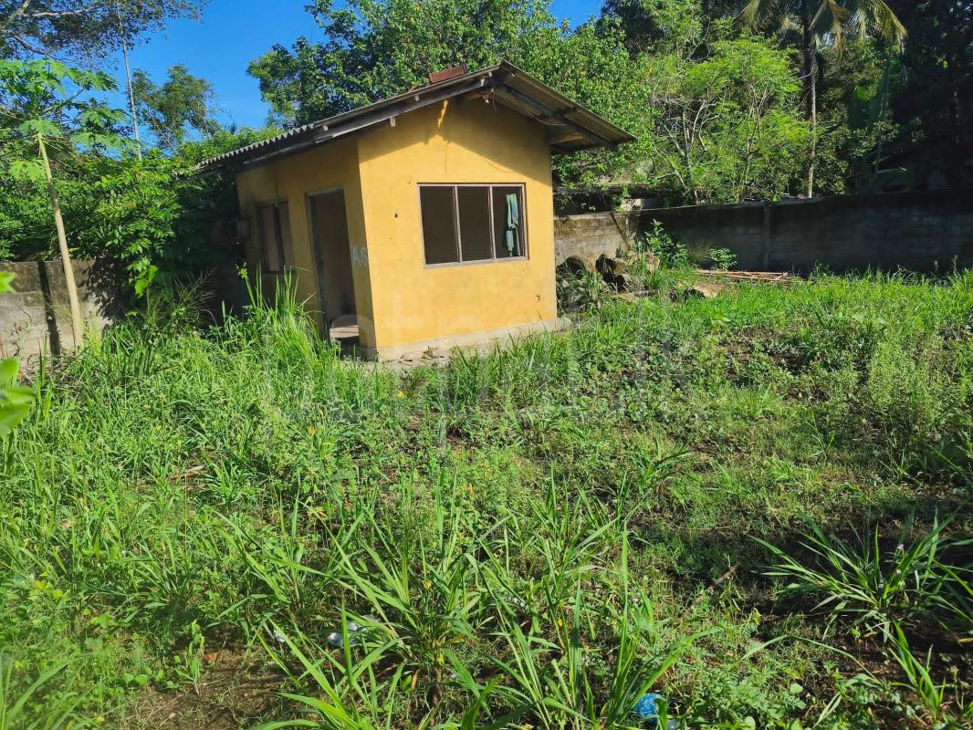 Agricultural Land for Sale in Kadawatha