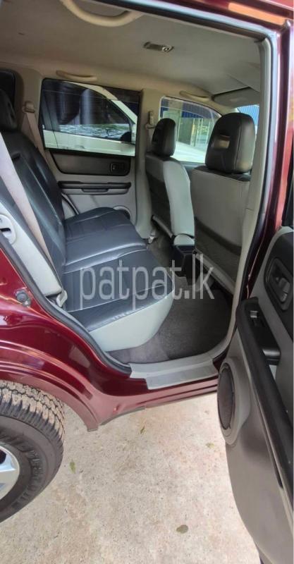 Advertisement image 6