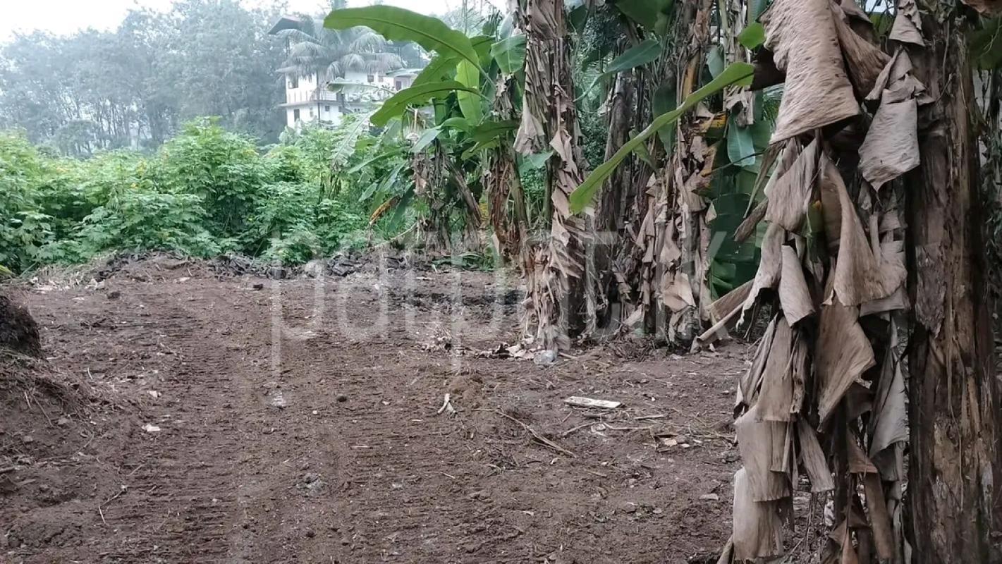 Agricultural Land for Sale in Maggona