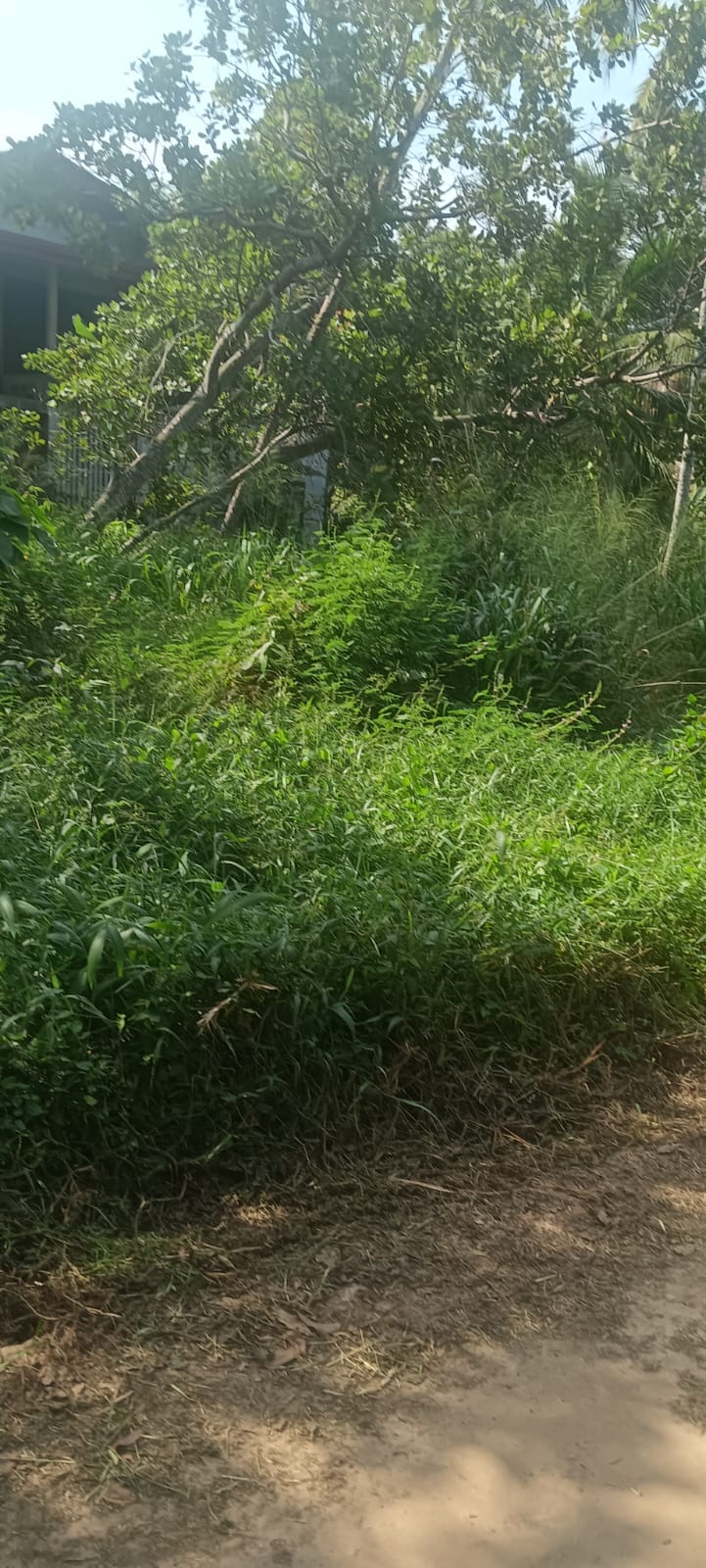 Commercial Land for Sale in Udugampola