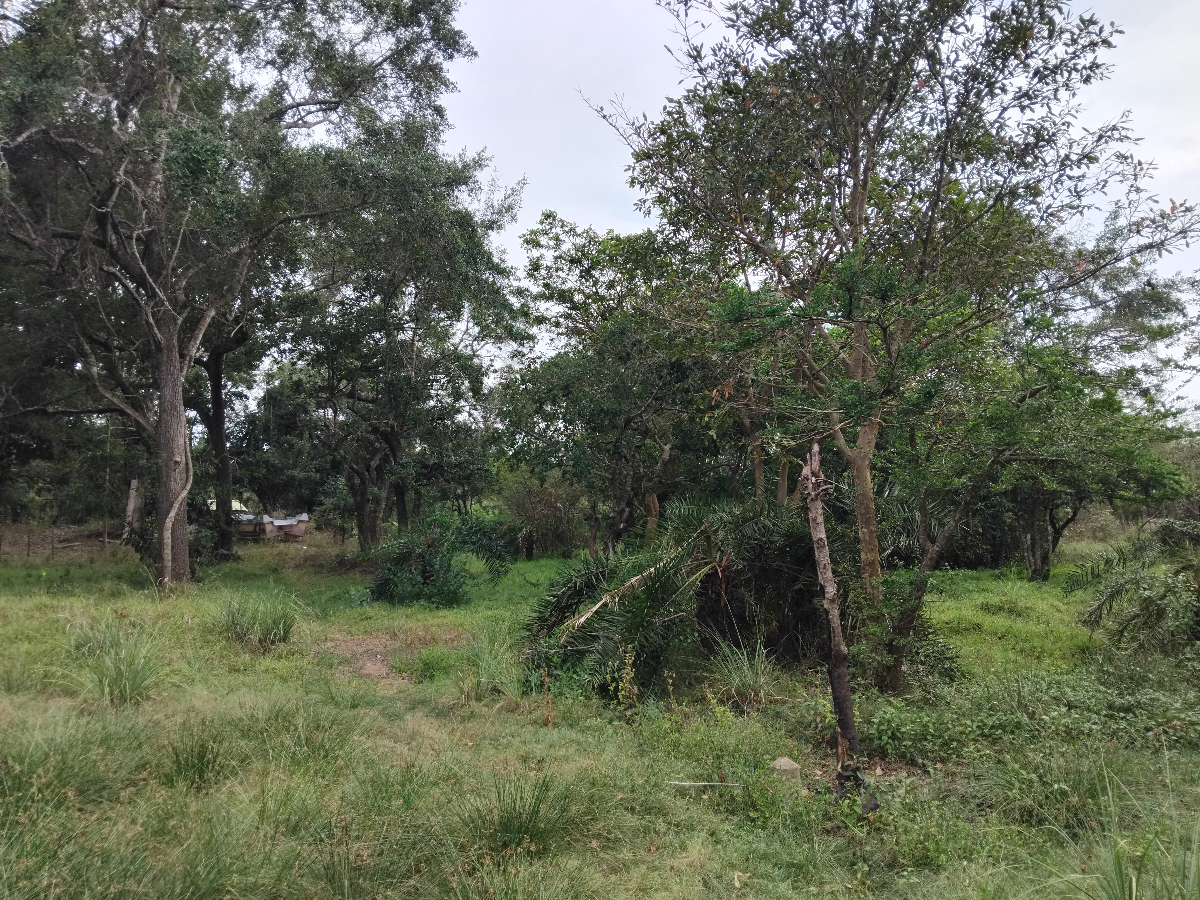 Commercial Land for Sale in Puttalam