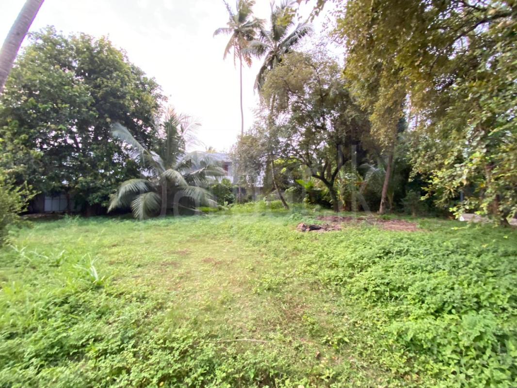 House for Rent in Ja-Ela ads-image-1