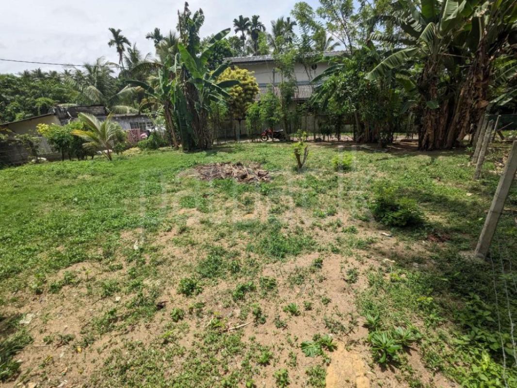 premium-listing-image