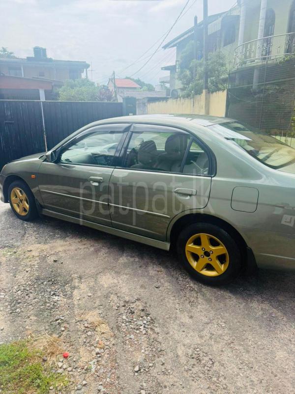 Advertisement image 4