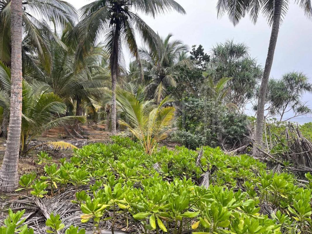Residential Land for Sale in Kahandamodara