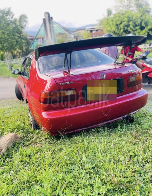 Advertisement image 4