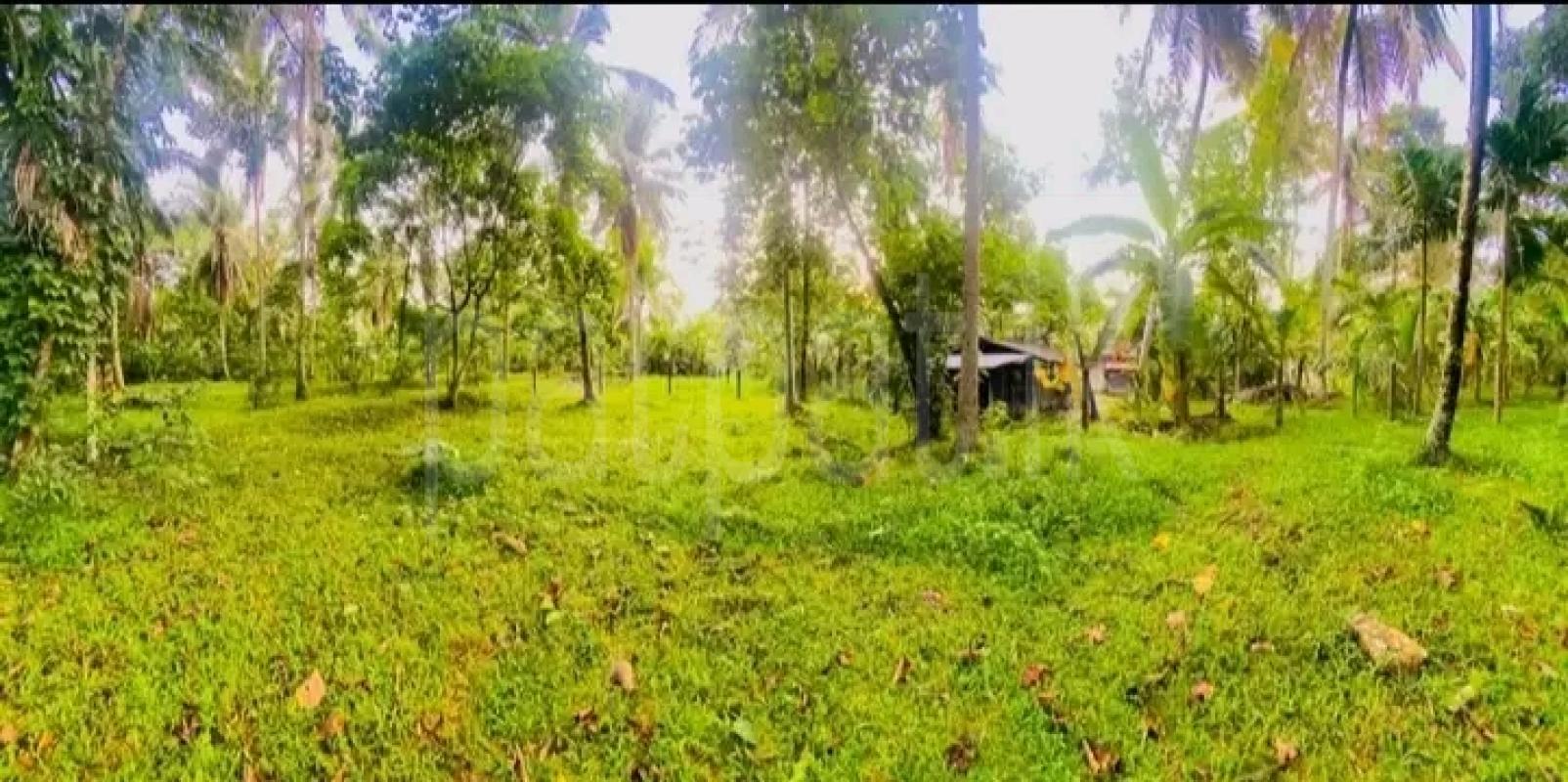 Residential Land for Sale in Gampola