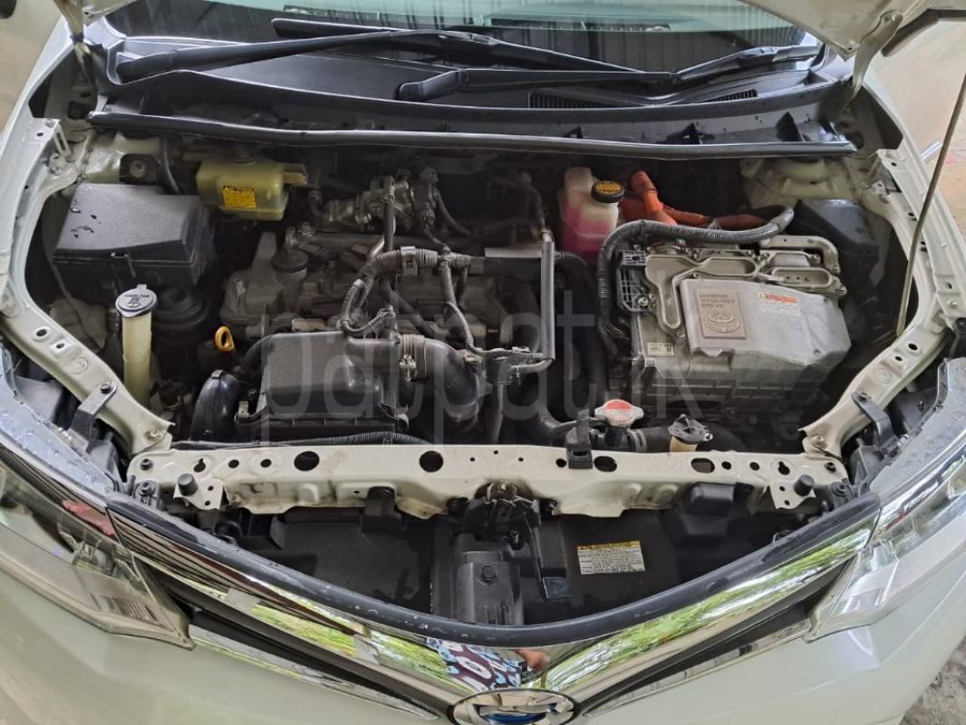 Advertisement image 4