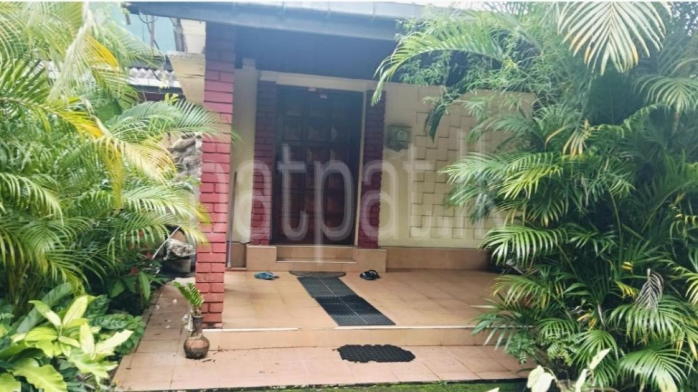 Agricultural Land for Sale in Boralesgamuwa ads-image-1