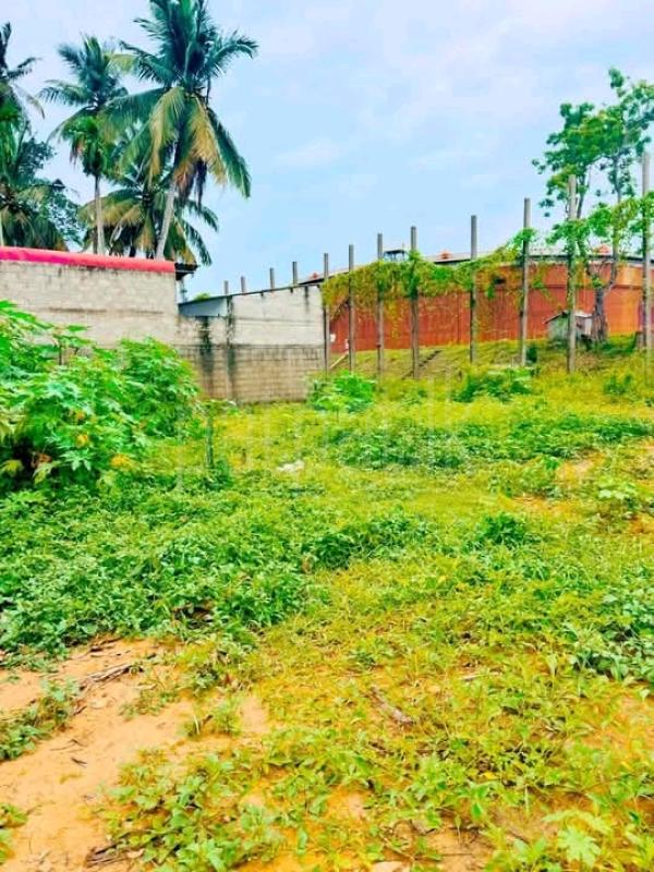 Commercial Land for Sale in Wellampitiya
