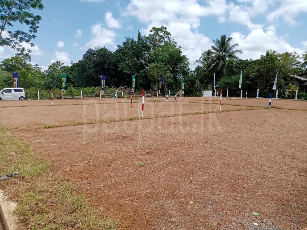 premium-listing-image