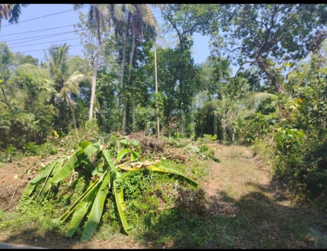 Residential Land for Sale in Dompe