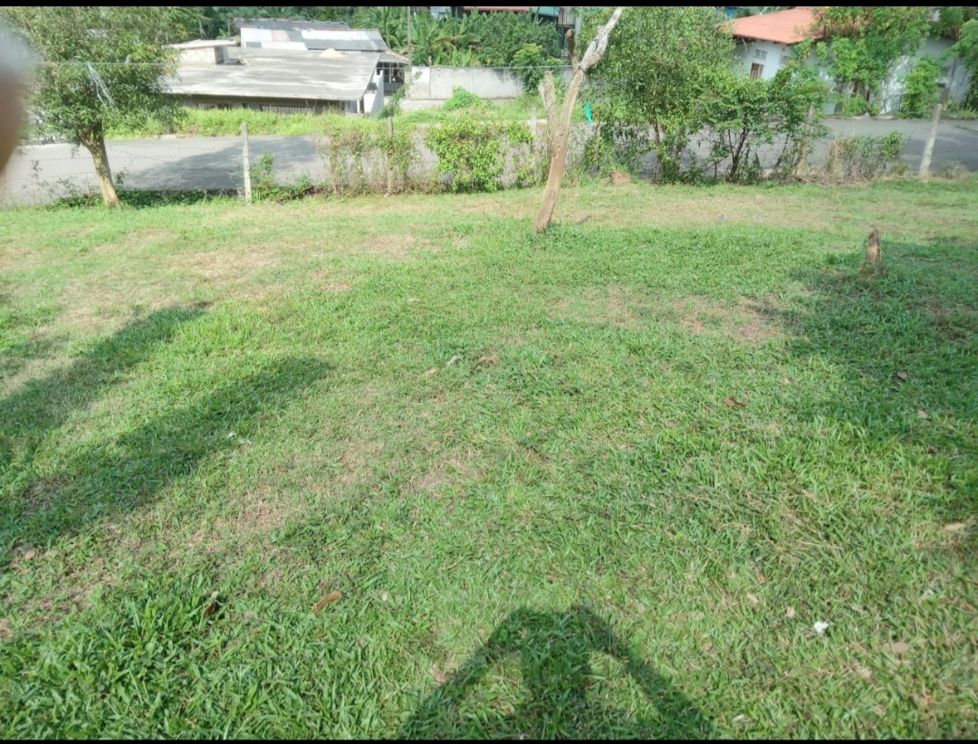 Residential Land for Sale in Ragama
