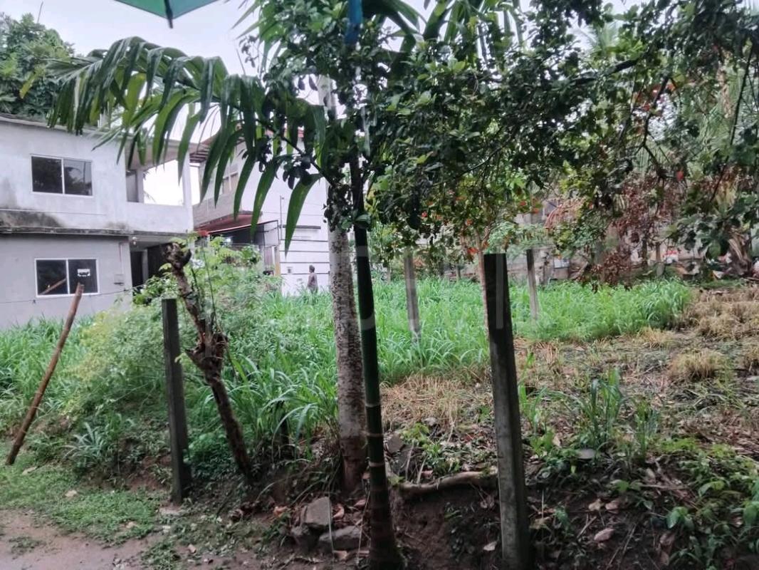 Residential Land for Sale in Kottawa