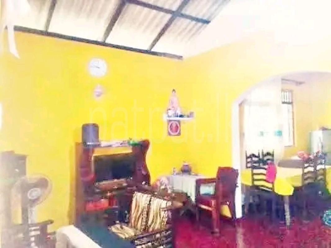 Advertisement image 6