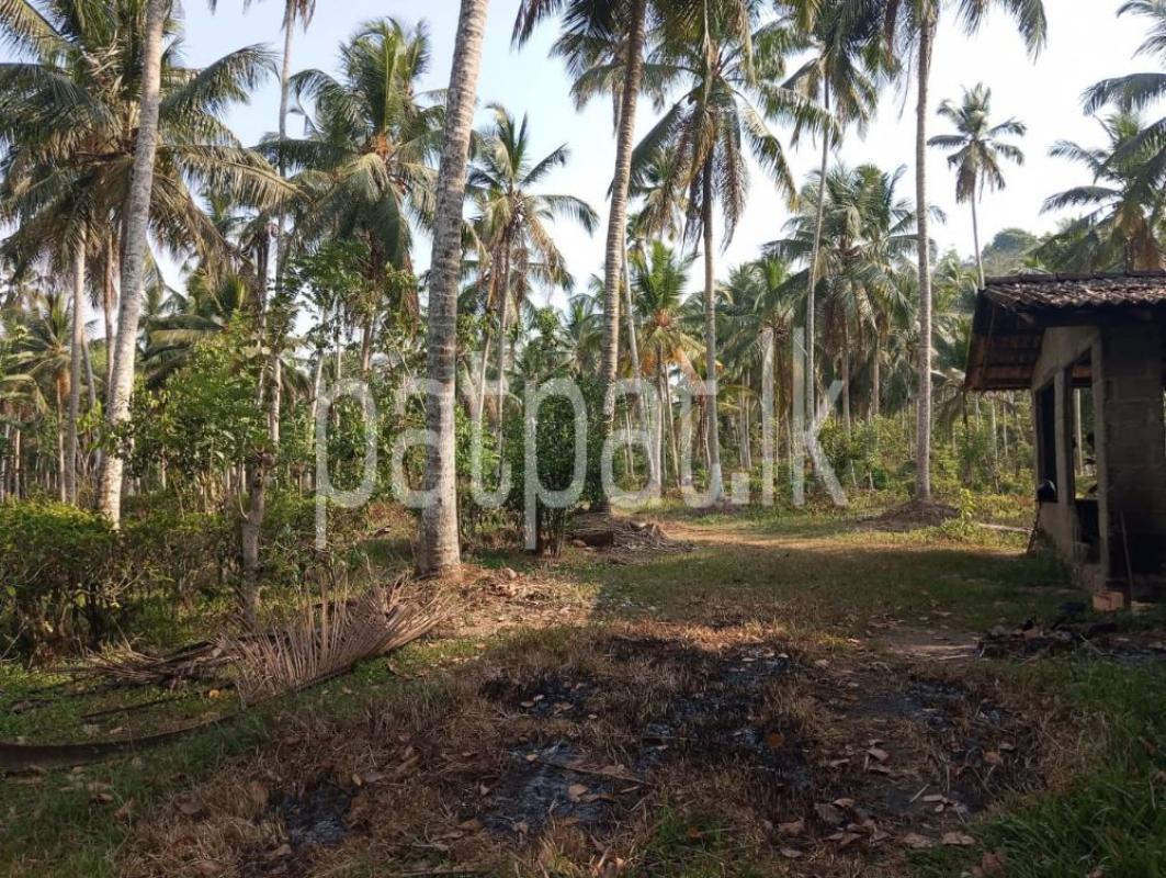 Advertisement image 6