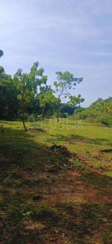 Residential Land for Sale in Kataragama