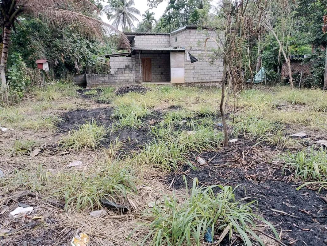Agricultural Land for Sale in Gampola