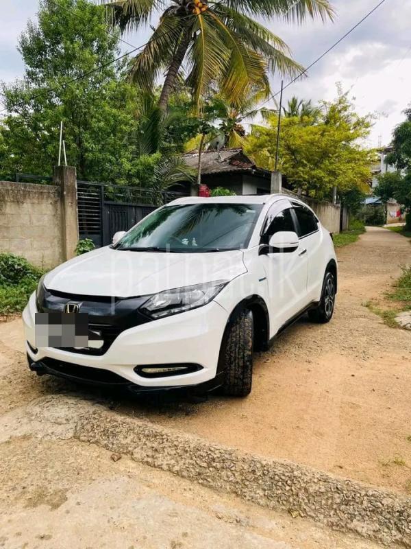 Advertisement image 4