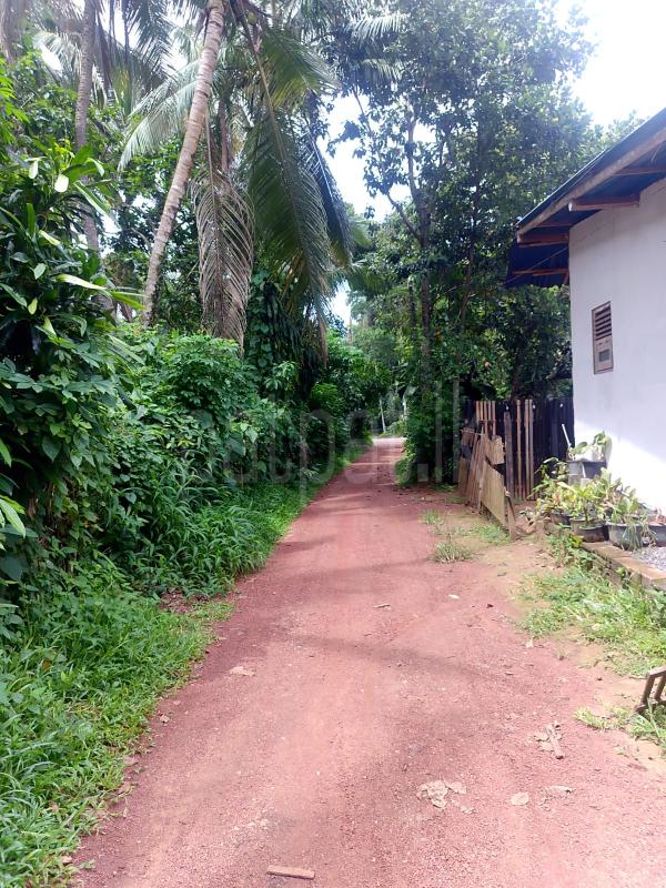 Residential Land for Sale in Udugampola