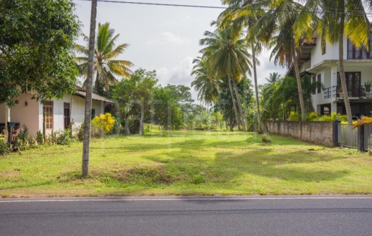 Commercial Land for Sale in Wennappuwa ads-image-1