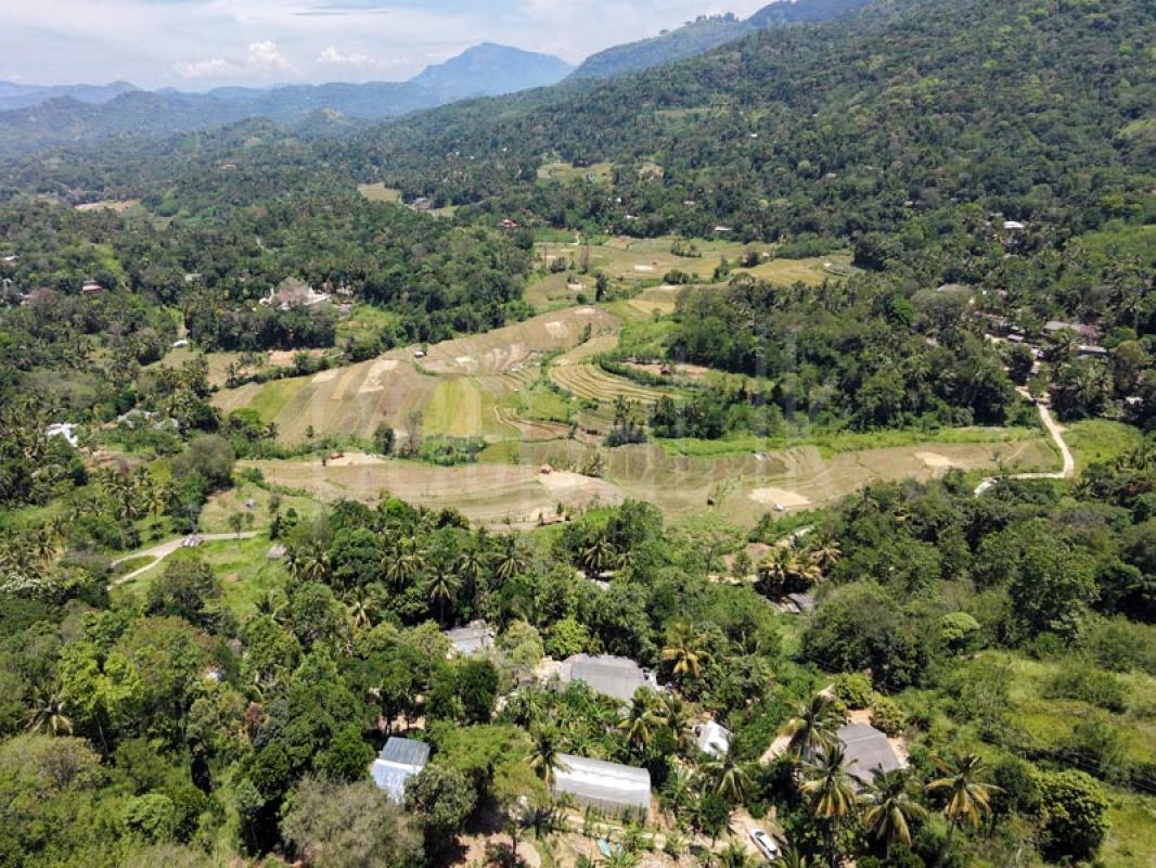 Agricultural Land for Sale in Kandy