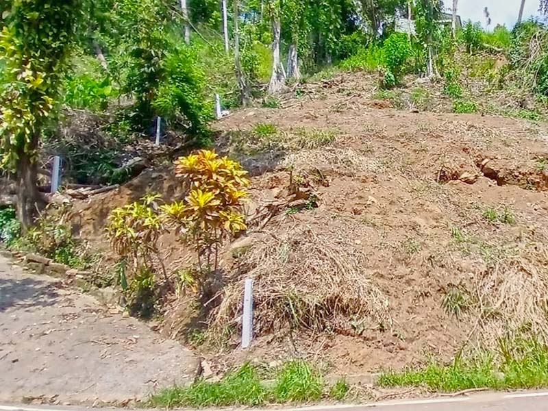 Commercial Land for Sale in Pilimatalawa