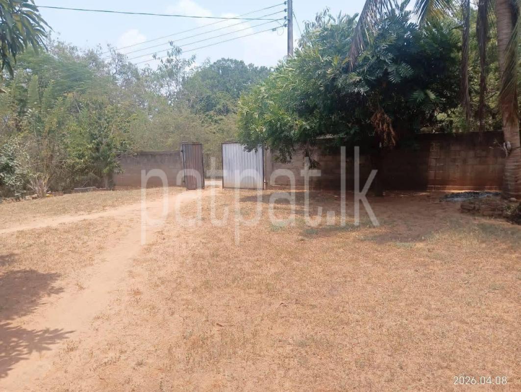 House for Sale in Tissamaharama