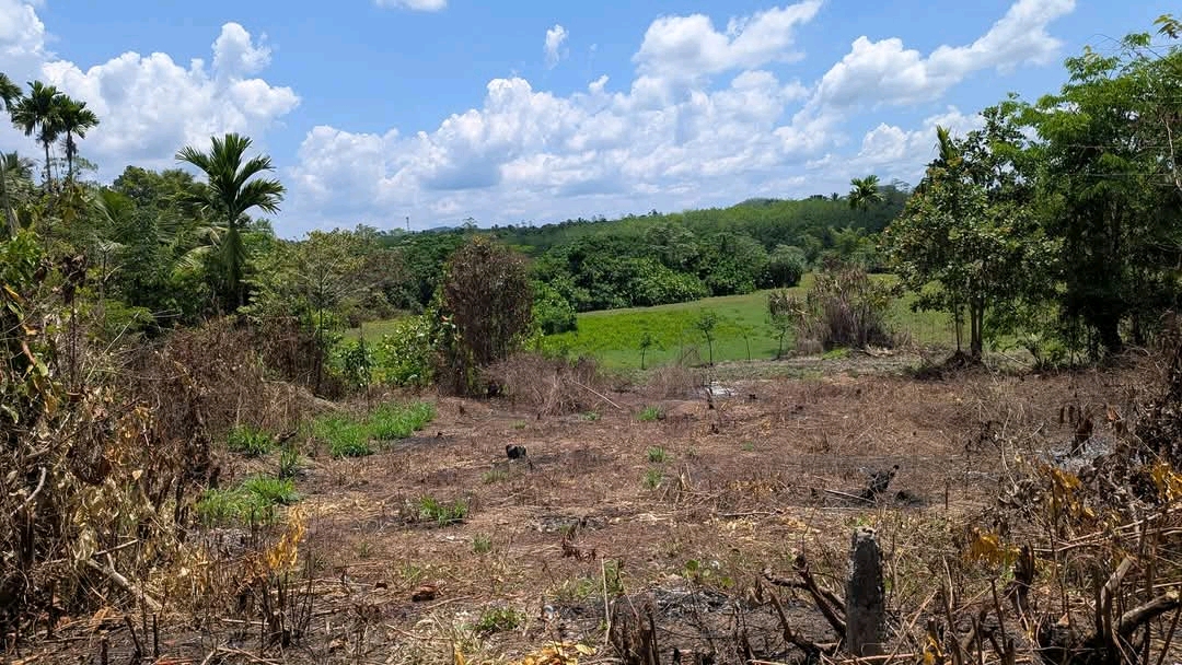 Agricultural Land for Sale in Padukka ads-image-1