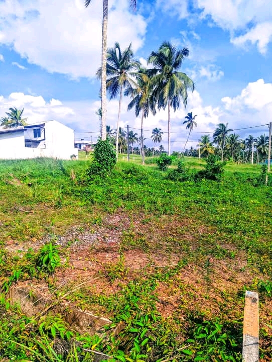 Commercial Land for Sale in Kahathuduwa