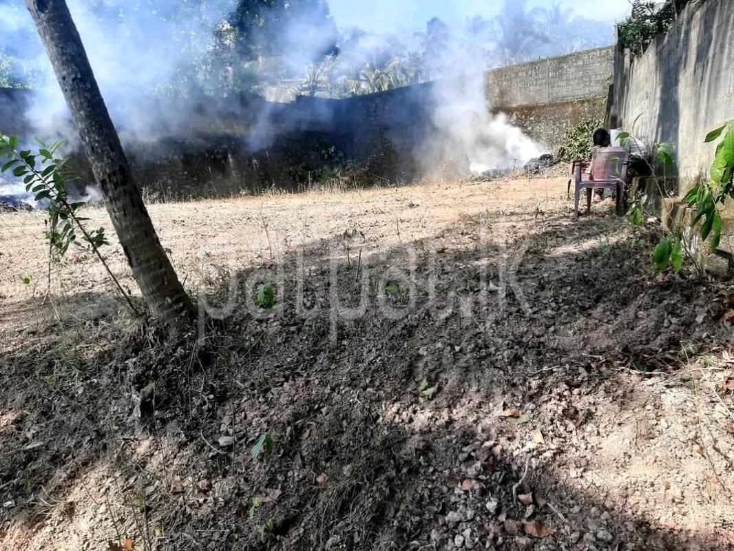Residential Land for Sale in Pamunuwatta ads-image-1