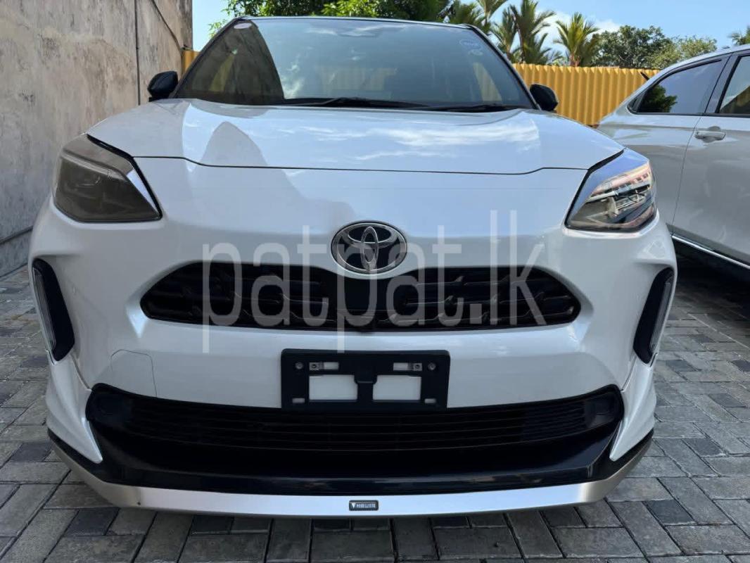 Advertisement image 2