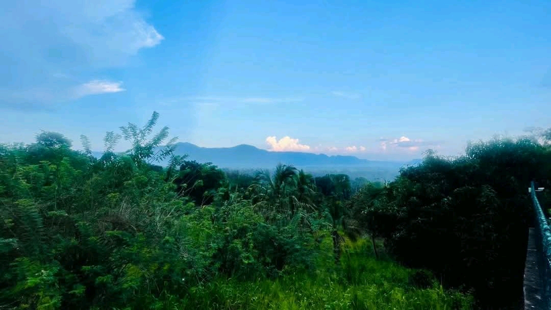 Residential Land for Sale in Mawathagama ads-image-1