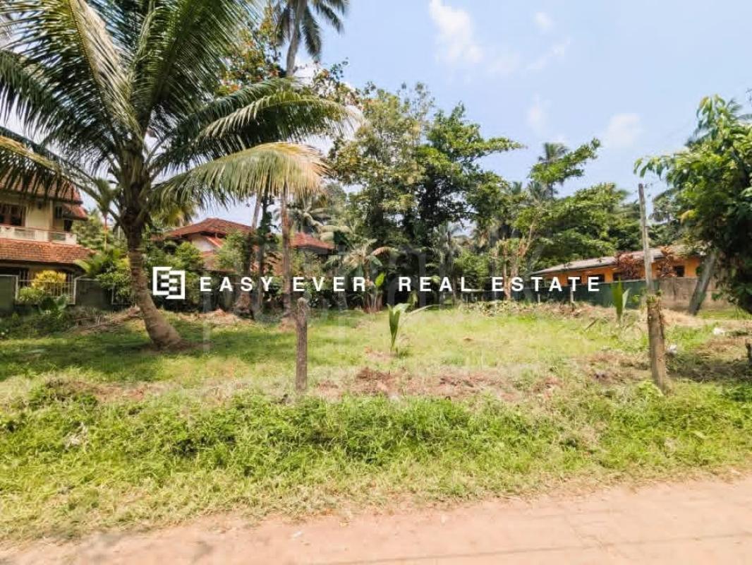 Residential Land for Sale in Weliveriya