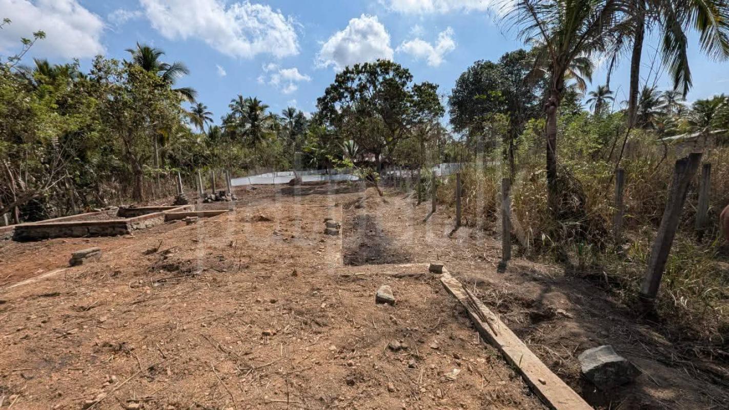 Residential Land for Sale in Giriulla