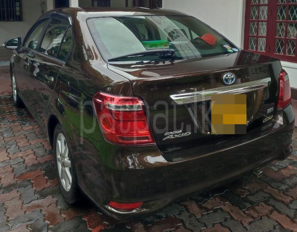 Advertisement image 2