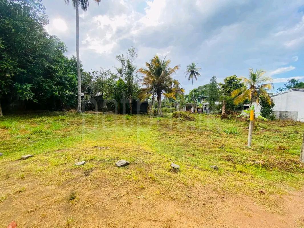 Residential Land for Sale in Yakkala ads-image-1