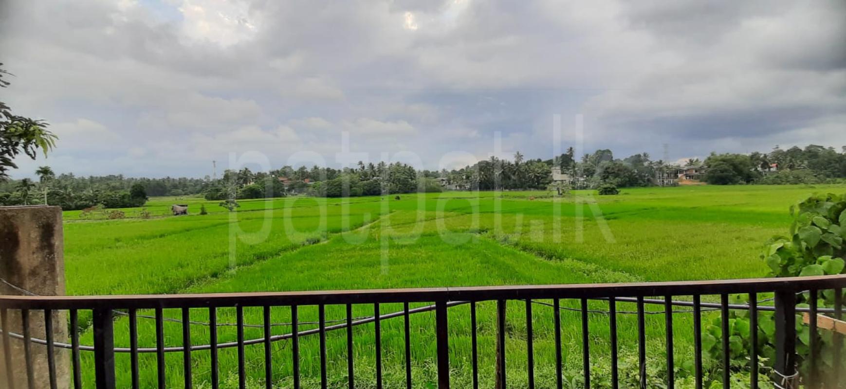 House for Rent in Nugegoda ads-image-1