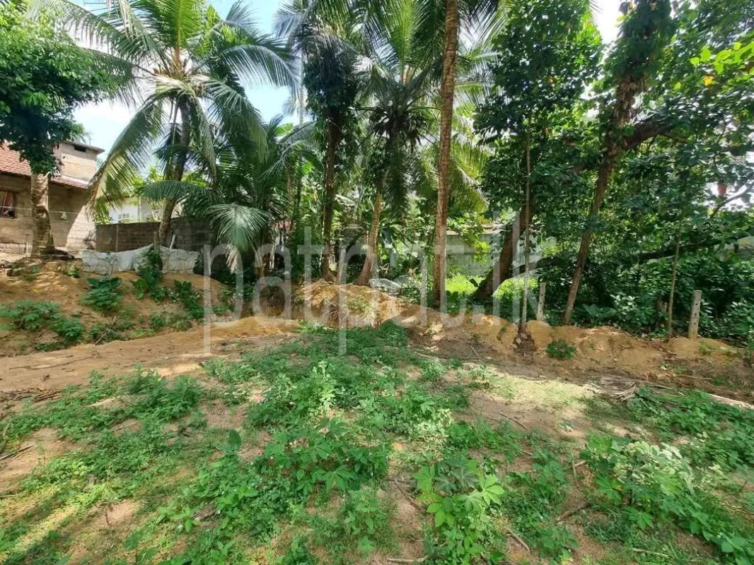 Agricultural Land for Sale in Mawathagama ads-image-1