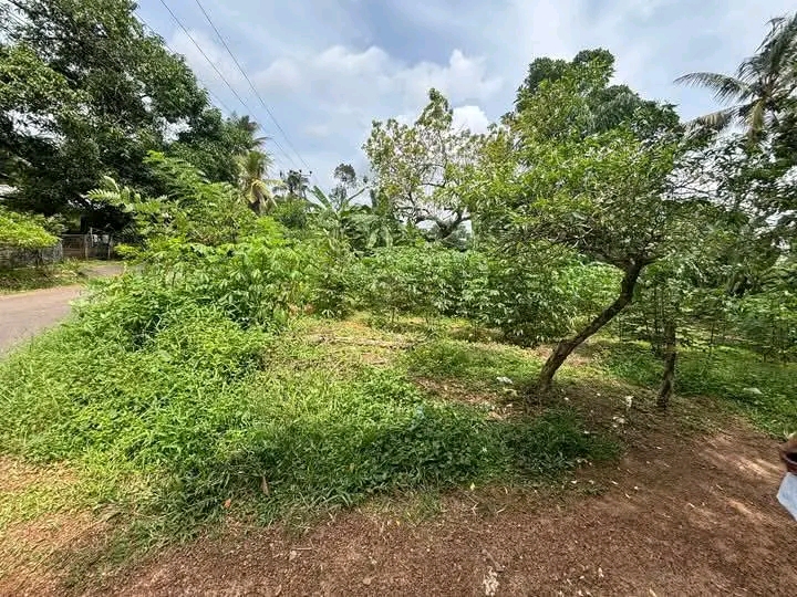 Residential Land for Sale in Horana