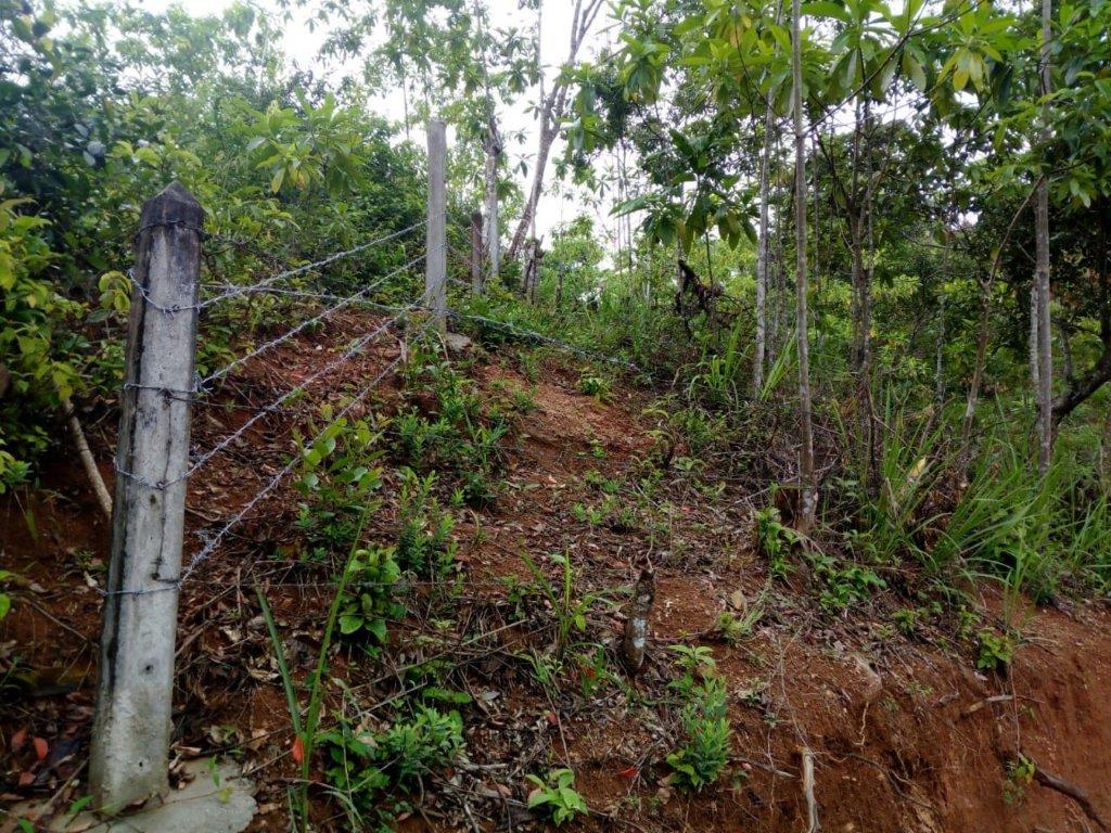 Agricultural Land for Sale in Peradeniya ads-image-1