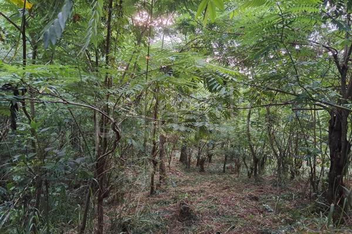 Commercial Land for Sale in Heerassagala