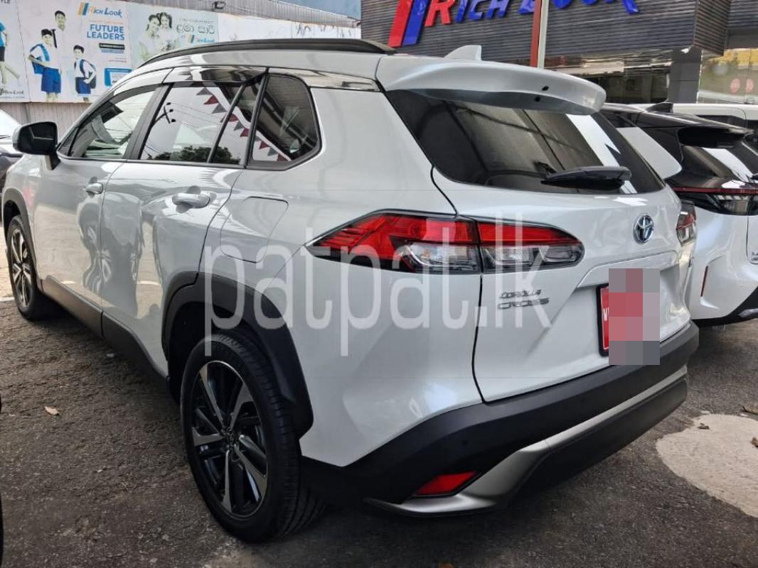 Advertisement image 3