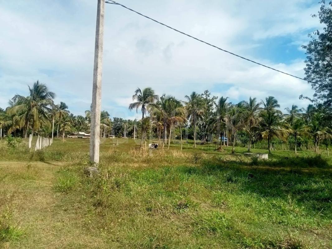 Residential Land for Sale in Kurunegala