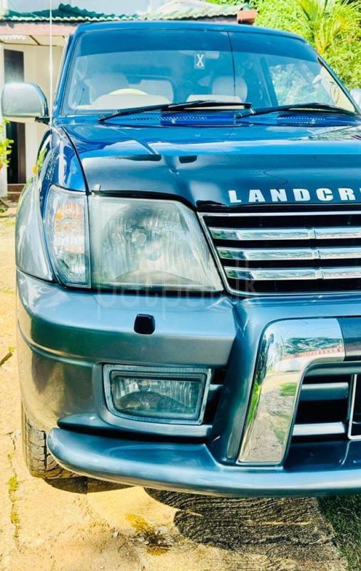 Advertisement image 3