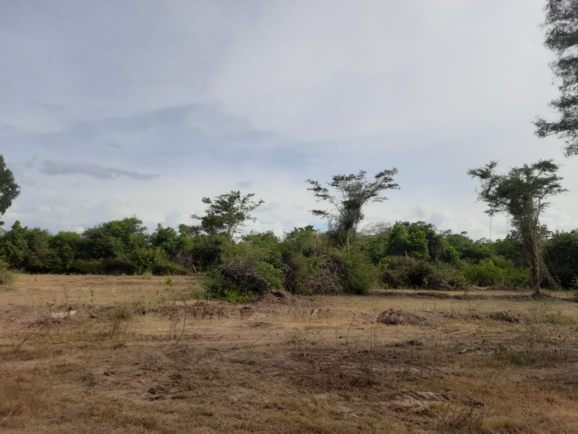 Agricultural Land for Sale in Galgamuwa